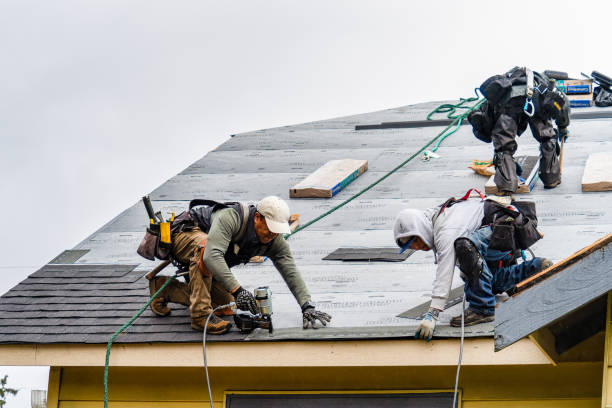 Professional Storm Damage Roof Repair technician working in Waco, KY